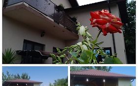 Piatra Rosie