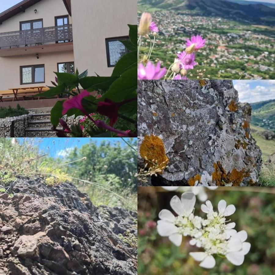 PIATRA ROSIE Pensiune Agroturistică Hotel Niculitel Exterior foto