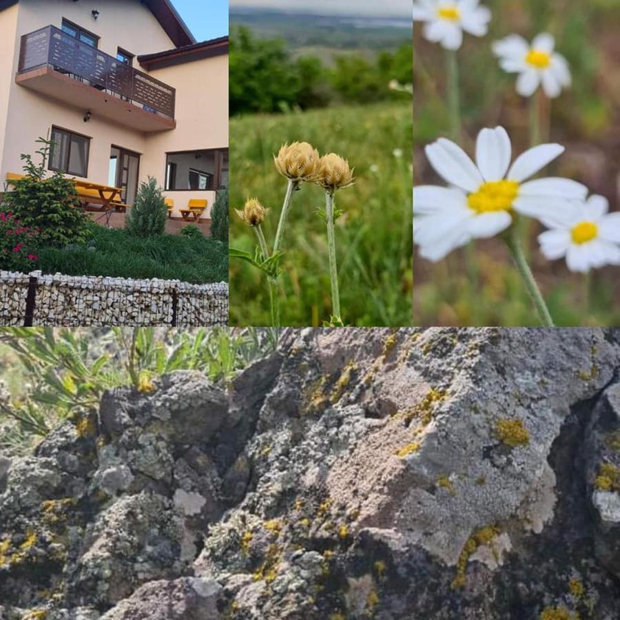 PIATRA ROSIE Pensiune Agroturistică Hotel Niculitel Exterior foto
