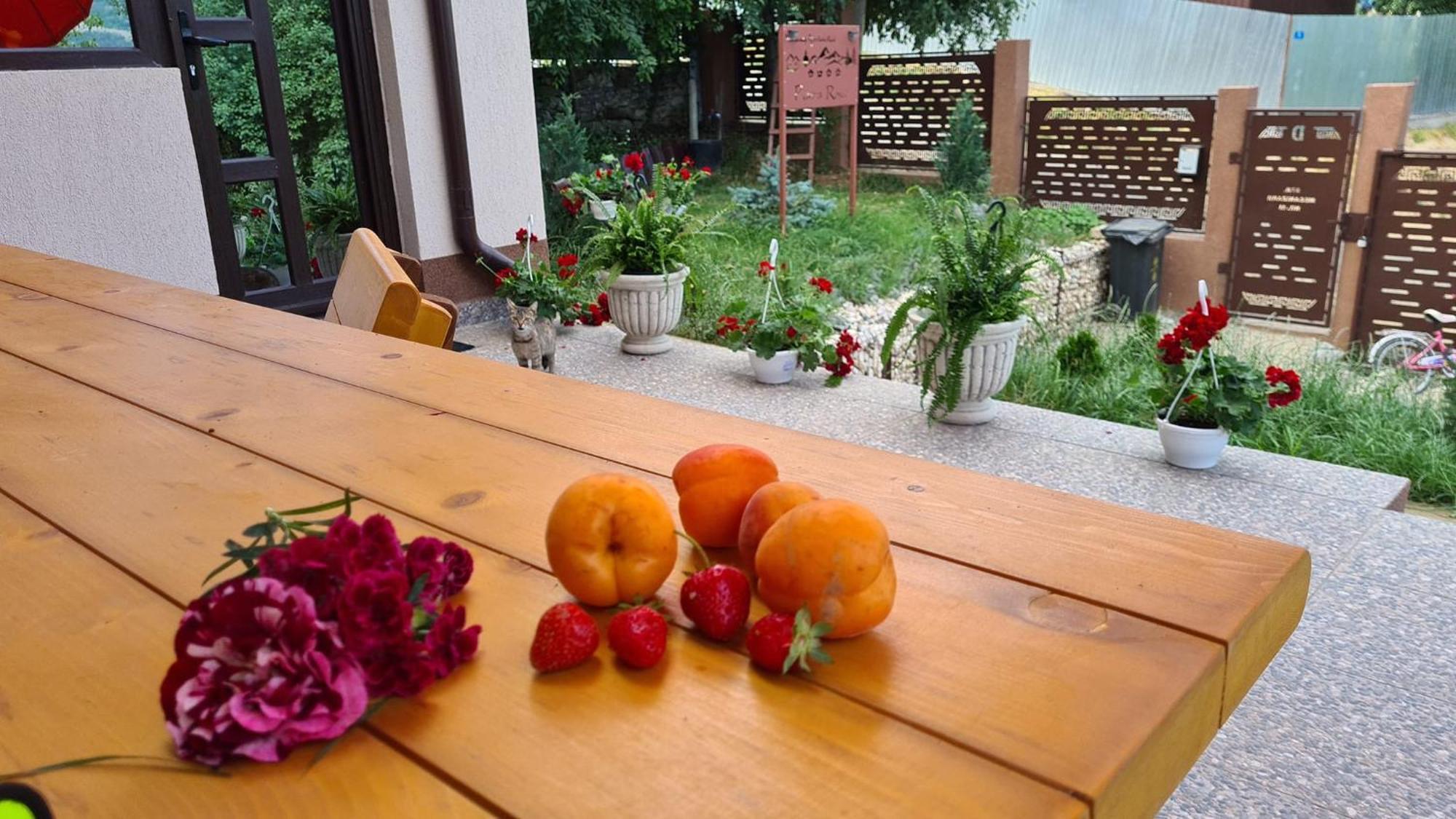 PIATRA ROSIE Pensiune Agroturistică Hotel Niculitel Exterior foto