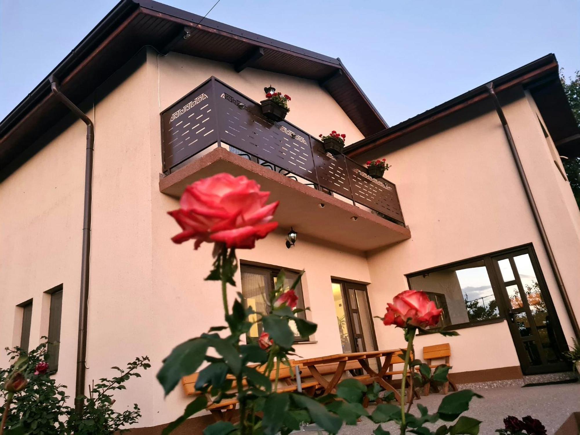 PIATRA ROSIE Pensiune Agroturistică Hotel Niculitel Exterior foto