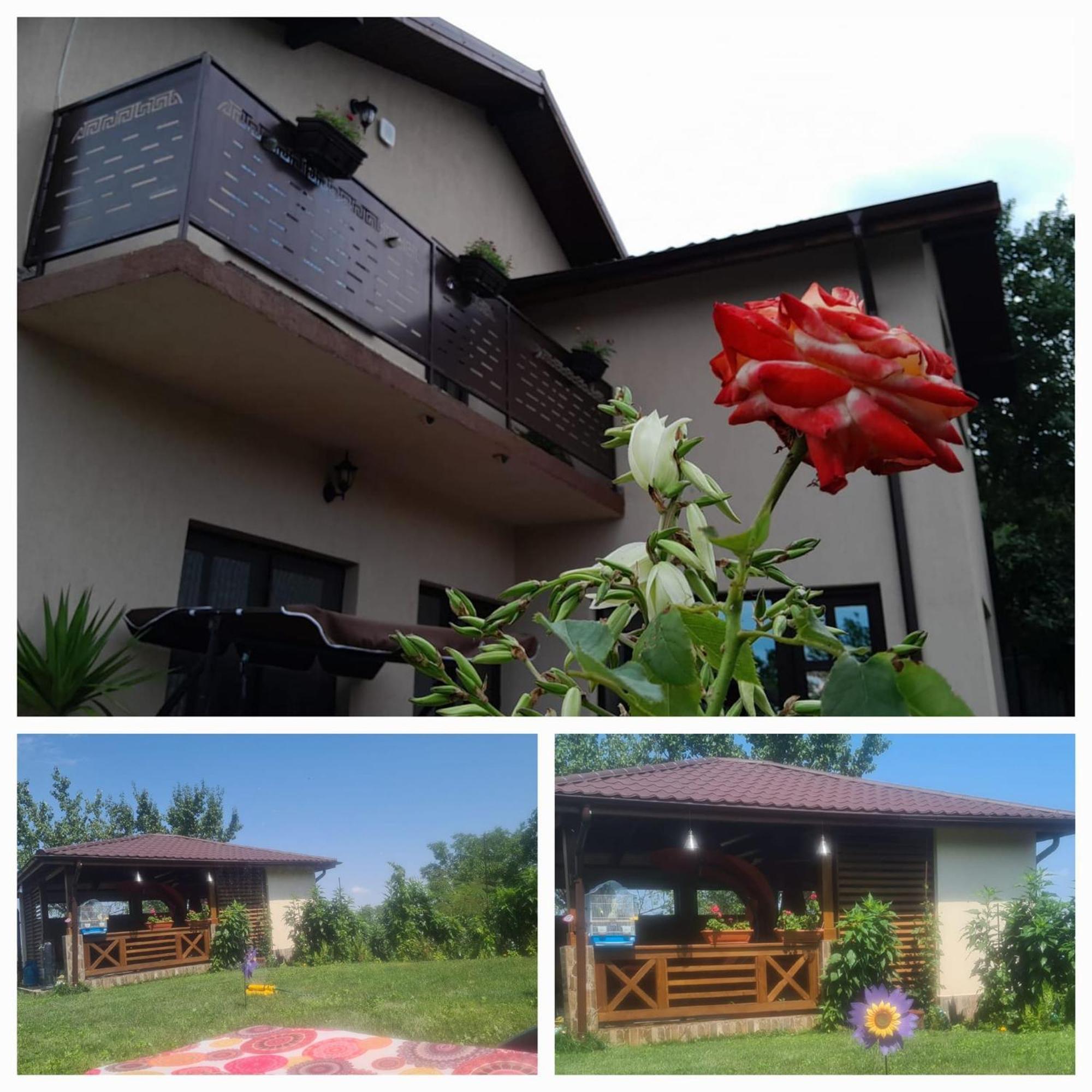 PIATRA ROSIE Pensiune Agroturistică Hotel Niculitel Exterior foto